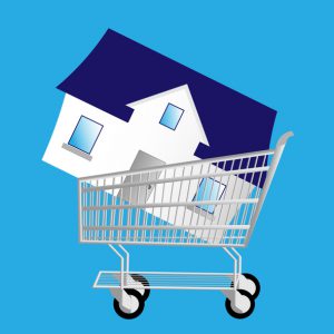 Carrello-casa-300x300