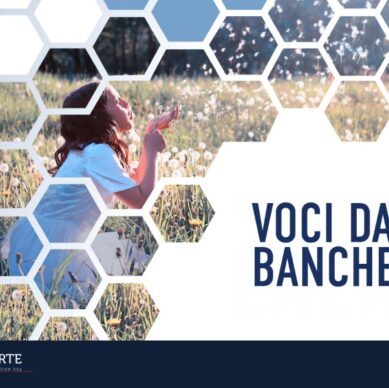 banner_abi_definitivo_voci