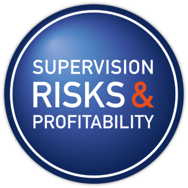 LOGO_RISKSePROFITABILITY new