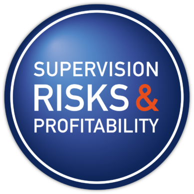 LOGO_RISKSePROFITABILITY new