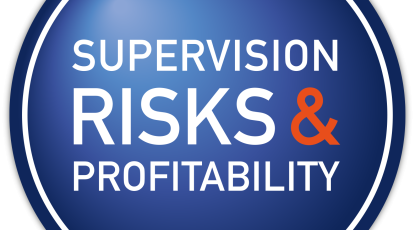 LOGO_RISKSePROFITABILITY new